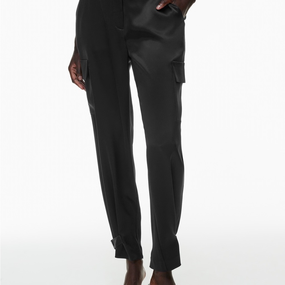 Aritzia Babaton Silk Cargo Pants